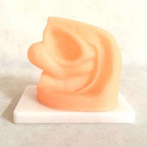 Advanced Female Internal ＆ External Genital Organs Medical Model