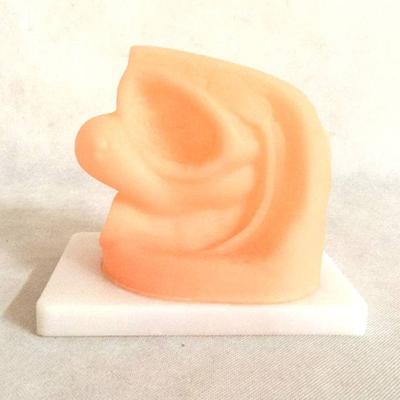Advanced Female Internal ＆ External Genital Organs Medical Model